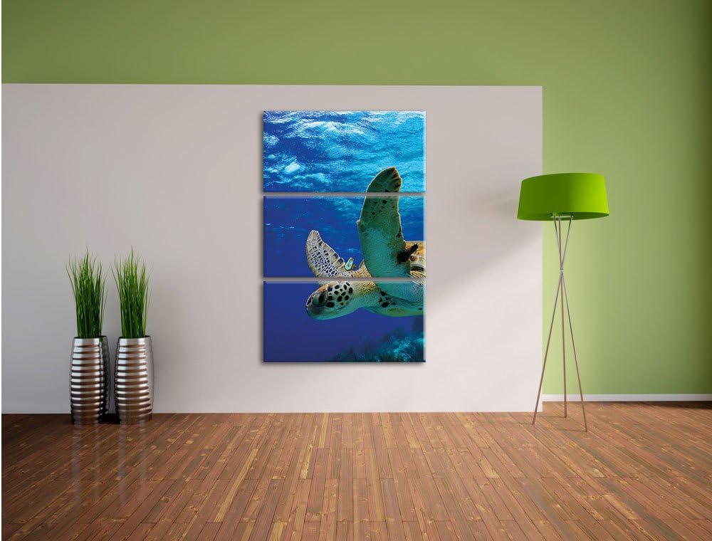 Pixxprint Schildkröte im Riff als Leinwandbild/Grösse: 3 Teilig (120x80) cm/Wandbild/Kunstdruck/fert