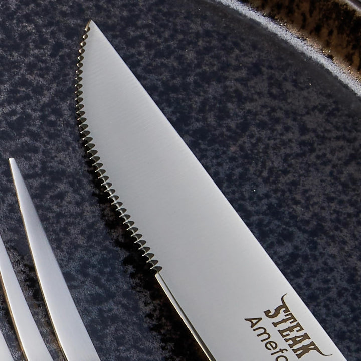 Amefa PORTERHOUSE Steak Besteck Set 4-teilig | 2 Steakmesser, 2 Steakgabeln | Kunststoffgriffe in Ho