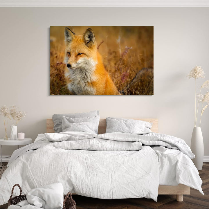 Leinwand (80x60cm): Tier-Bilder Natur Wildnis Wald Landschaft Fuchs sieht aus w 80x60 cm, 80x60 cm
