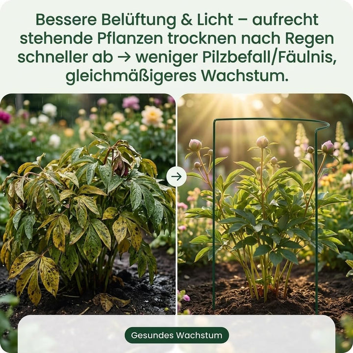 10 STÜCK Pflanzenstütze halbrund - Ø 38 cm - 100 cm hoch - aus 4mm kunststoffummantelten Draht - Für