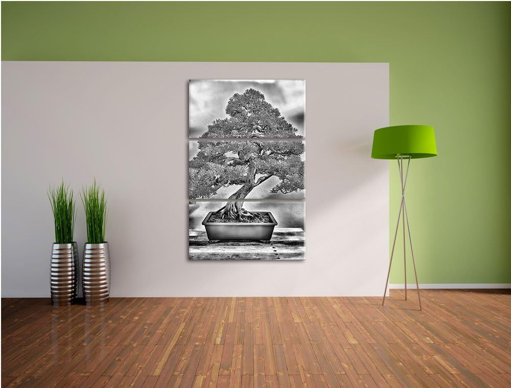 Pixxprint Bonsai Baum als Leinwandbild | Grösse: 3 Teilig (120x80) | Wandbild| Kunstdruck | fertig b