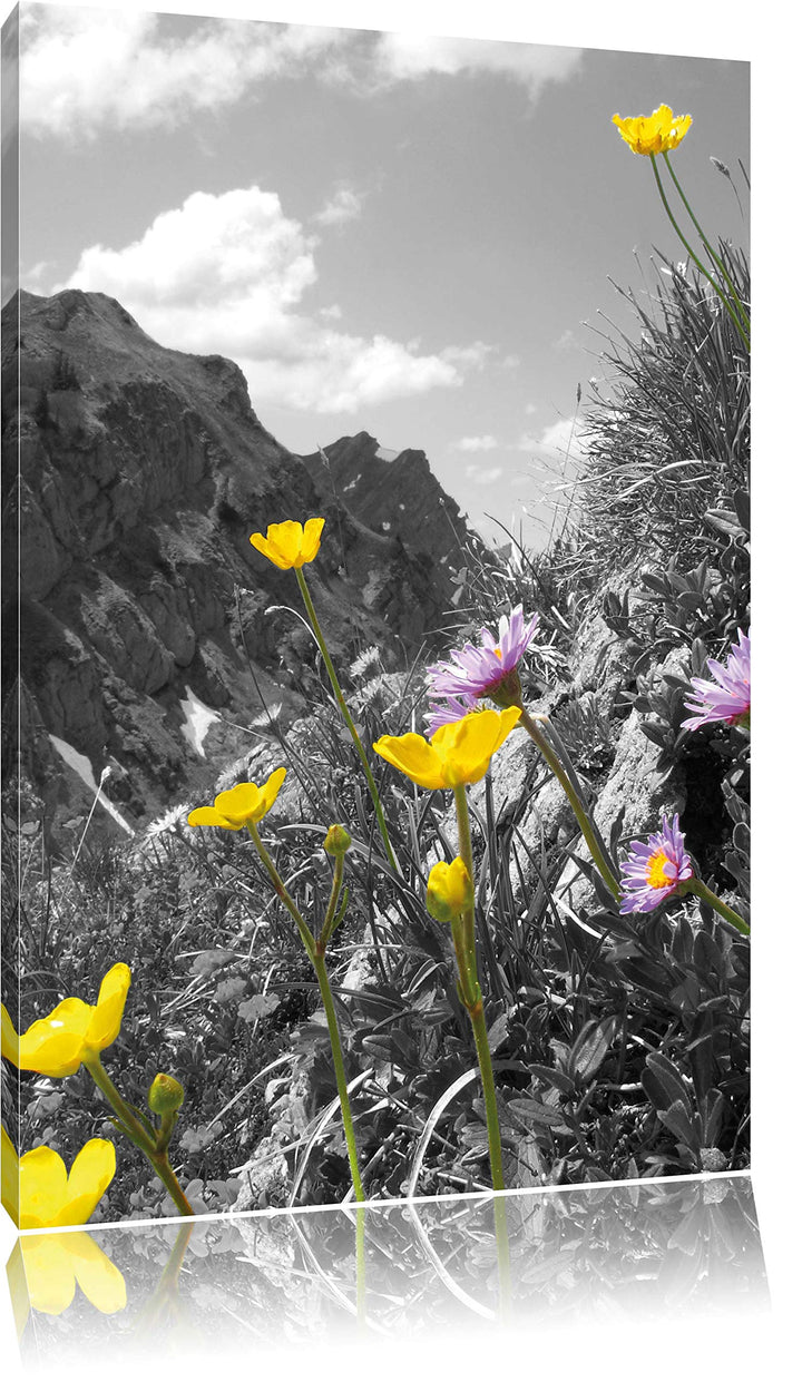 Pixxprint Traumhafte Blumenwiese im Frühling schwarz/weiss, Format: 70x100 auf hochkantiges Leinwand