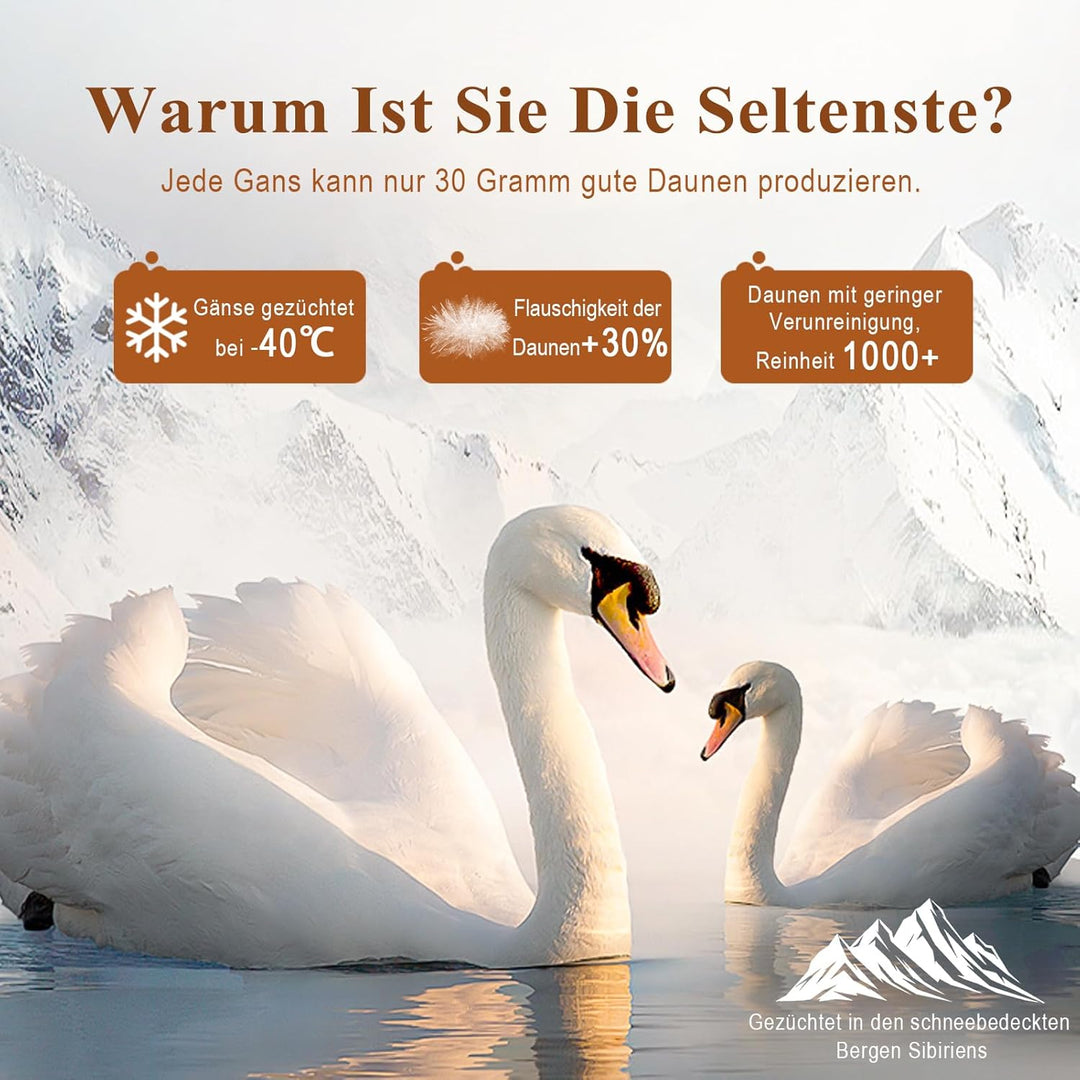 APSMILE Daunendecke 135x200cm - Ganzjahresdecke 135x200, Bettdecke mit 75% Daunen und 25% Federn, Wä
