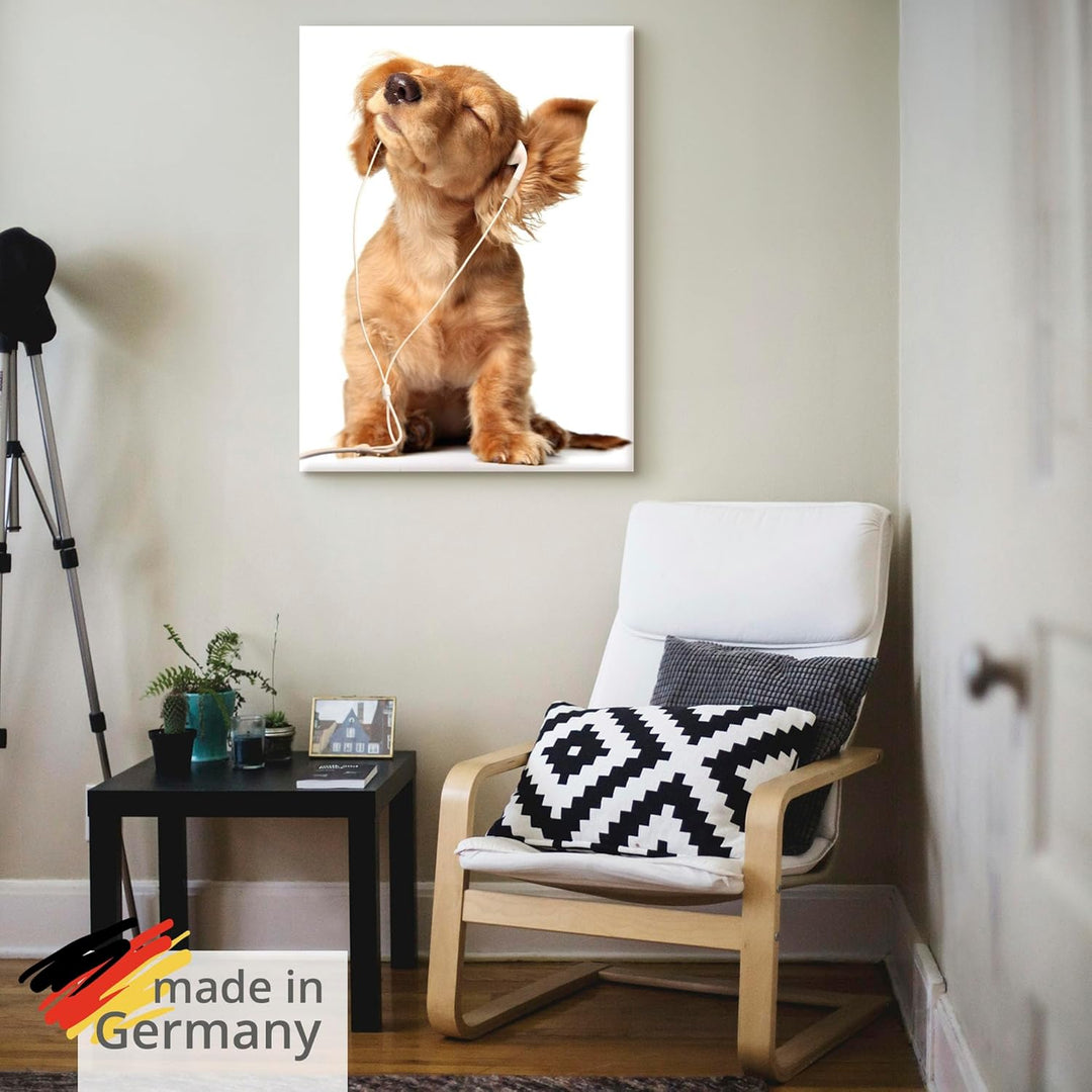 Artland Leinwandbild Wandbild Bild auf Leinwand 60x80 cm Wanddeko Hund Tiere Musik Dackel Welpen Lus