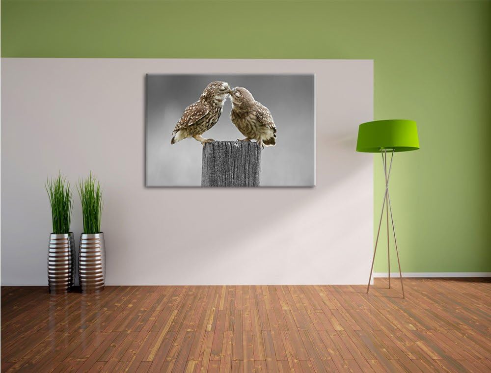 Küssende Eulen B&W Detail, Format: 100x70 auf Leinwand, XXL riesige Bilder fertig gerahmt mit Keilra