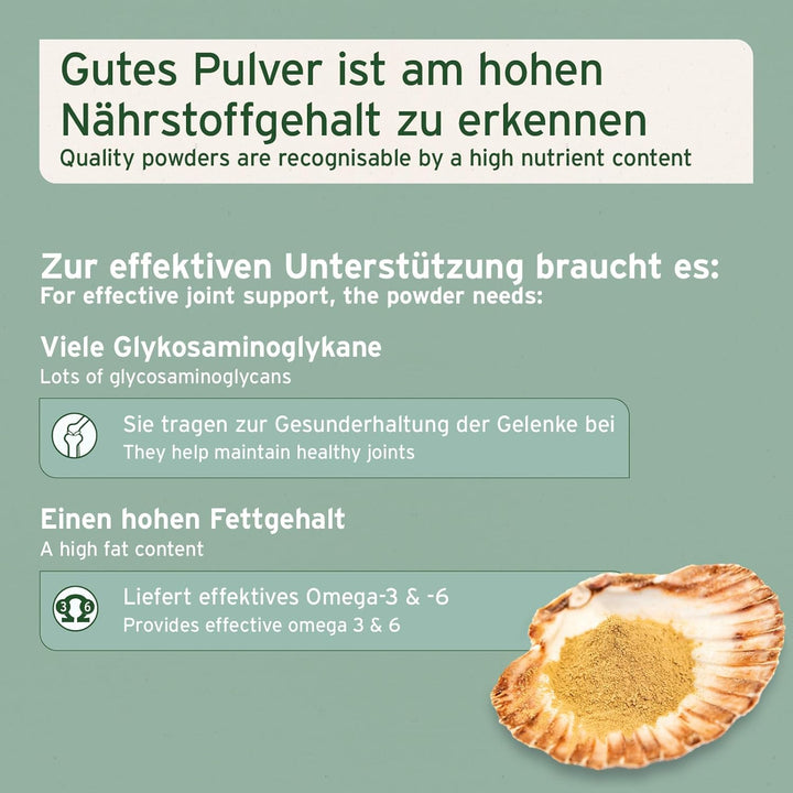AniForte Grünlippmuschelpulver für Hunde 1kg - Natürliches Grünlippmuschel Pulver in Vollfettqualitä