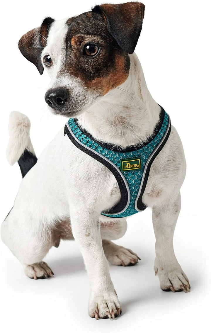 HUNTER HILO COMFORT Geschirr für kleine Hunde mit Netzmaterial und reflektierenden Elementen, türkis