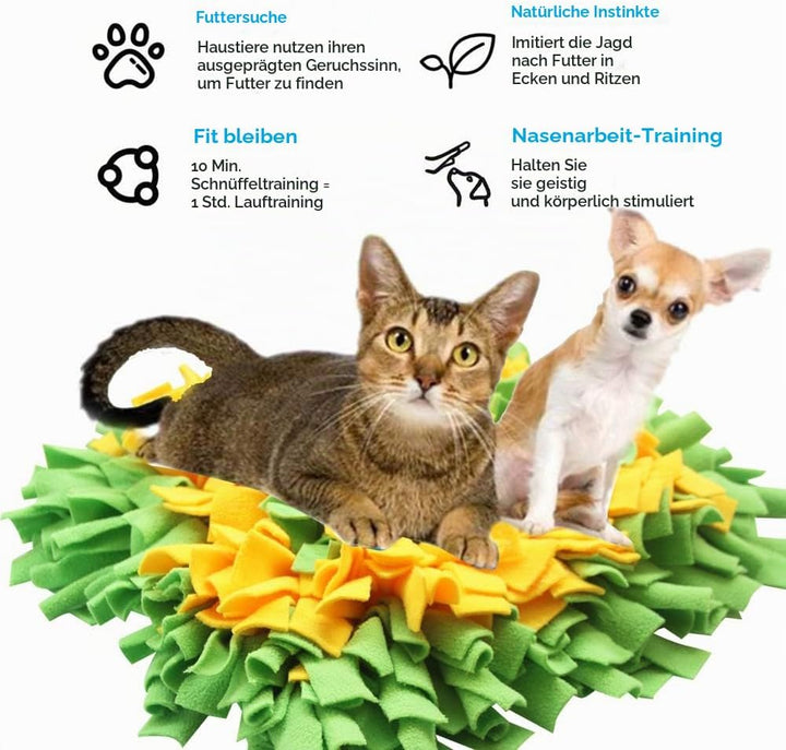 IEUUMLER Schnüffelteppich Hund Riechen Trainieren Schnüffeldecke Futtermatte Trainingsmatte für Haus
