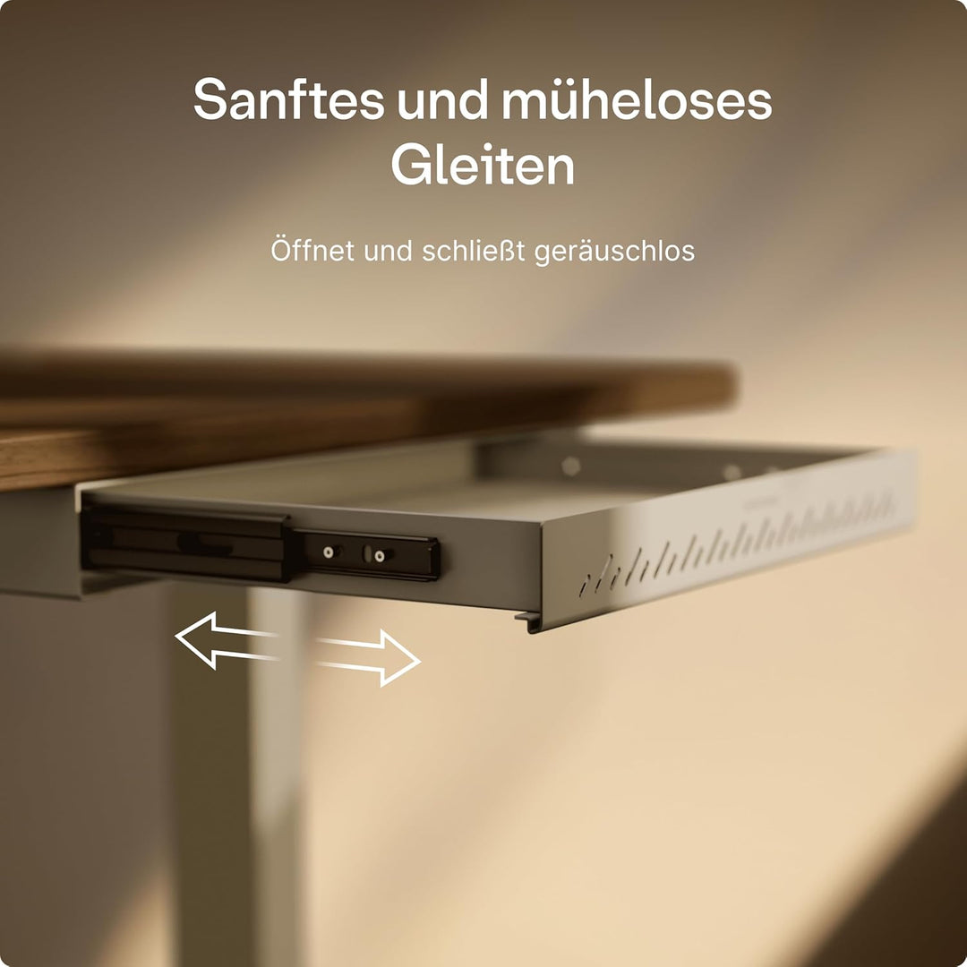 Desktronic Schreibtisch-Organizer, Untertisch-Aufbewahrungsbox, Schreibtisch für Büro Schule Homeoff