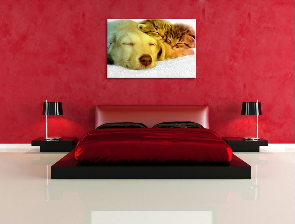 niedlicher Welpe kuschelt mit süssen Kätzchen schwarz/weiss Format: 100x70 auf Leinwand, XXL riesige