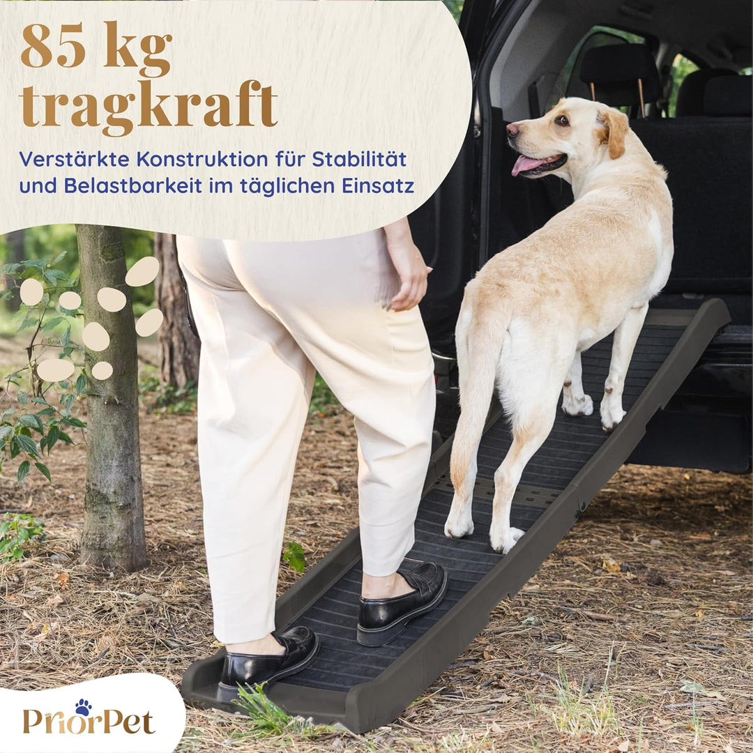 Hunderampe Auto Klappbar – 174 cm Lang & 38 cm Breit – rutschfeste Gummi Rampe für grosse Hunde – St