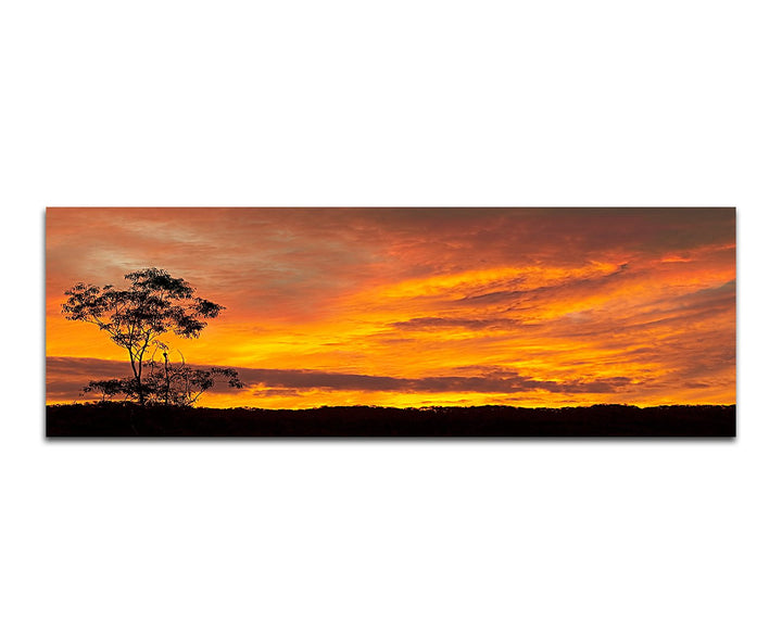 Panoramabild auf Leinwand und Keilrahmen 150x50cm Australien Wiese Baum Sonnenuntergang