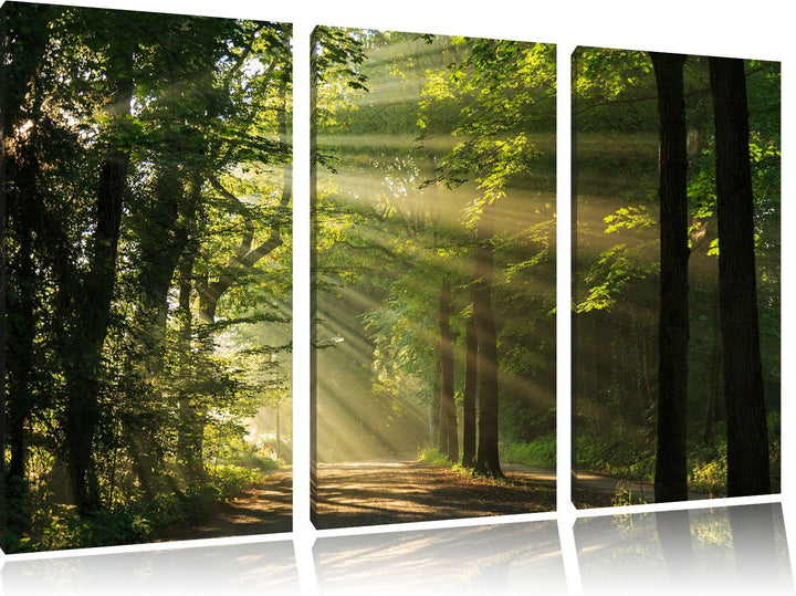 Pixxprint Waldweg im Frühling als Leinwandbild/Grösse: 3 Teilig (120x80) cm/Wandbild/Kunstdruck/fert
