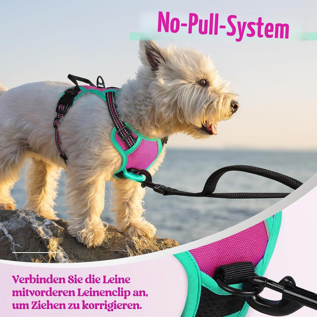 rabbitgoo Hundegeschirr Mittelgrosse Hunde, Anti Zug Geschirr mit Kontrolle, No Pull Verstellbar Hun