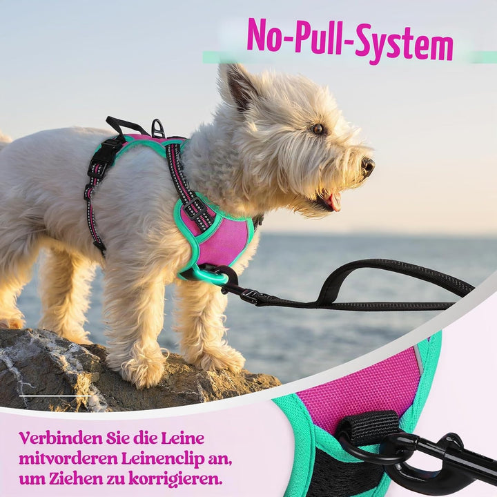 rabbitgoo Hundegeschirr Mittelgrosse Hunde, Anti Zug Geschirr mit Kontrolle, No Pull Verstellbar Hun