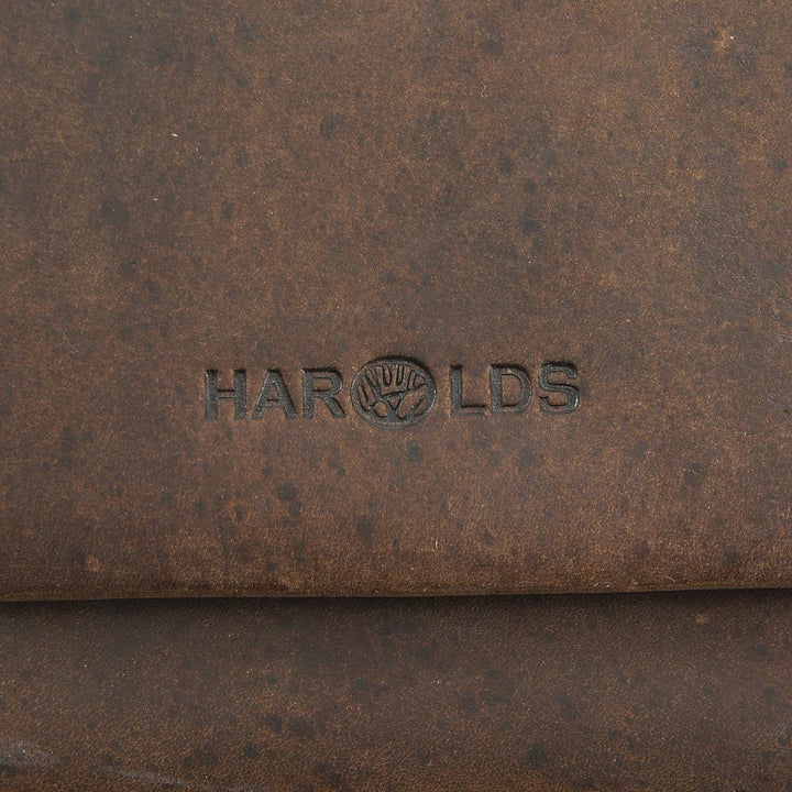 Harold's Kuriertasche 39 x 32 x 10 cm Rind-Leder 310403