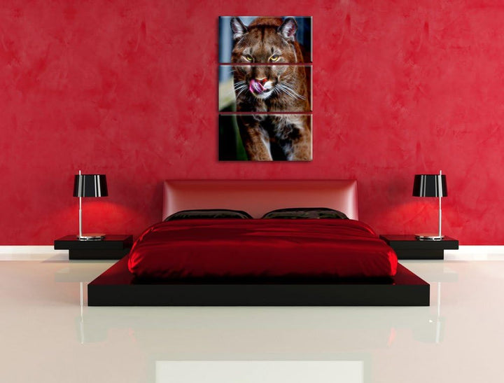 anmutiger Puma Spezial 3-Teiler Leinwandbild 120x80 Bild auf Leinwand, XXL riesige Bilder fertig ger