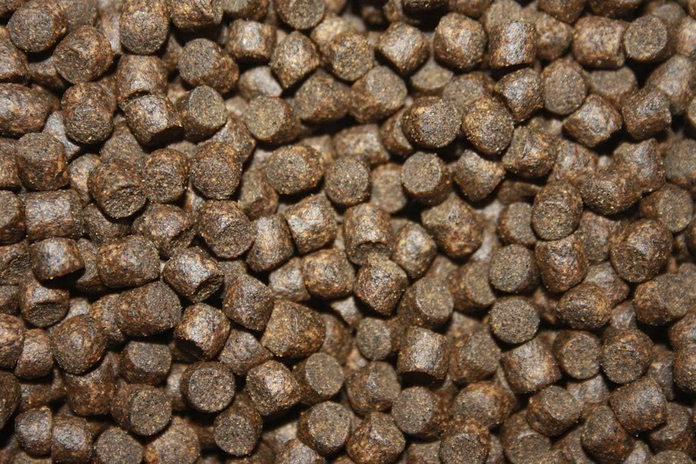Koifutter Sinkfutter Koi Winterfutter sinkende Koi Pellets kräfteschonend Energiefutter für Koi mit