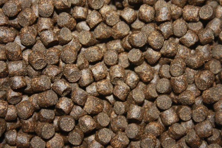 Koifutter Sinkfutter Koi Winterfutter sinkende Koi Pellets kräfteschonend Energiefutter für Koi mit