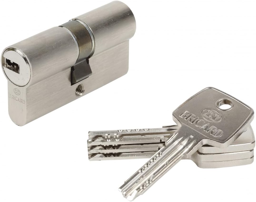 BRICARD 15701 Zylinder Astral 2, 9 Messing vernickelt 10 Kolben, 2 Eingänge 30 + 30, Protektoren geg