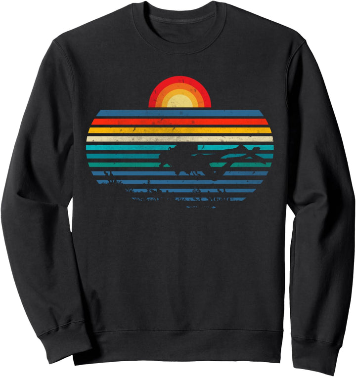 Retro Scuba Diving Sunset Vintage Old School Classic Party Sweatshirt
