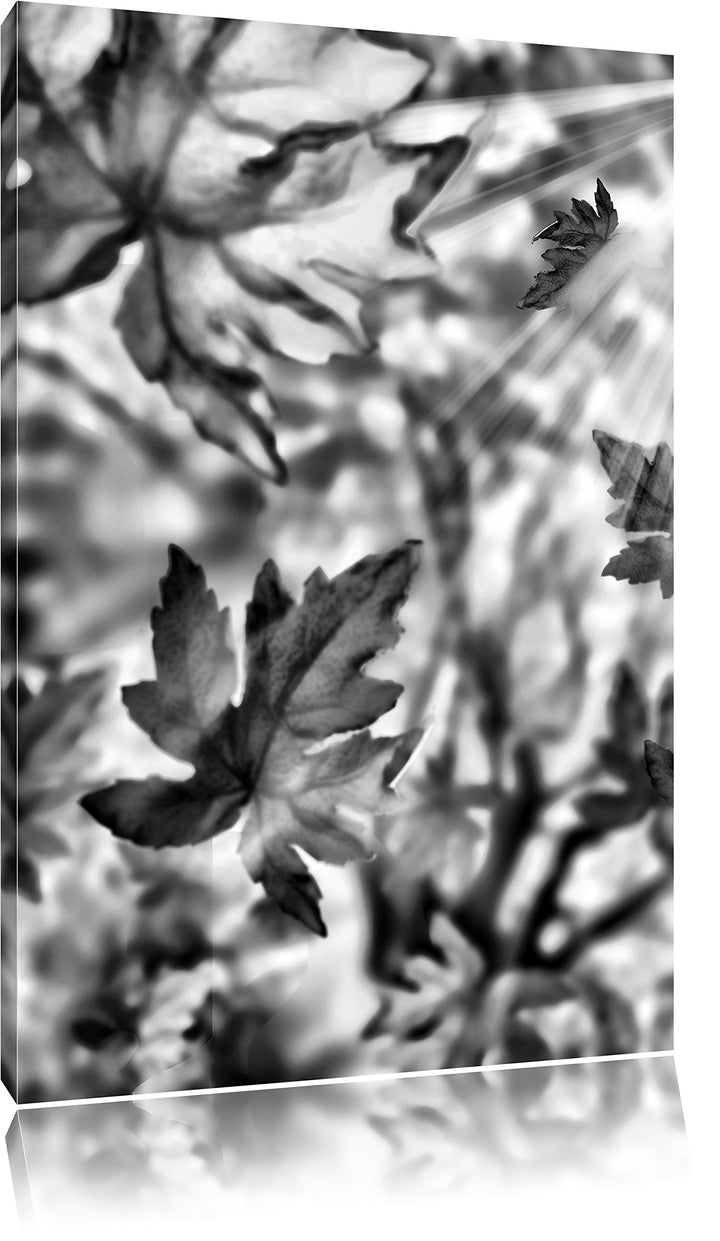 Pixxprint Monocrome, Fliegende Bunte Herbstblätter, Format: 100x70 auf Leinwand, 100x70