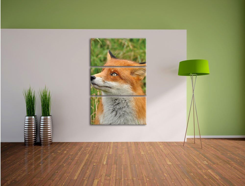 Pixxprint Fuchs auf Wiese als Leinwandbild/Grösse: 3 Teilig (120x80) cm/Wandbild/Kunstdruck/fertig b