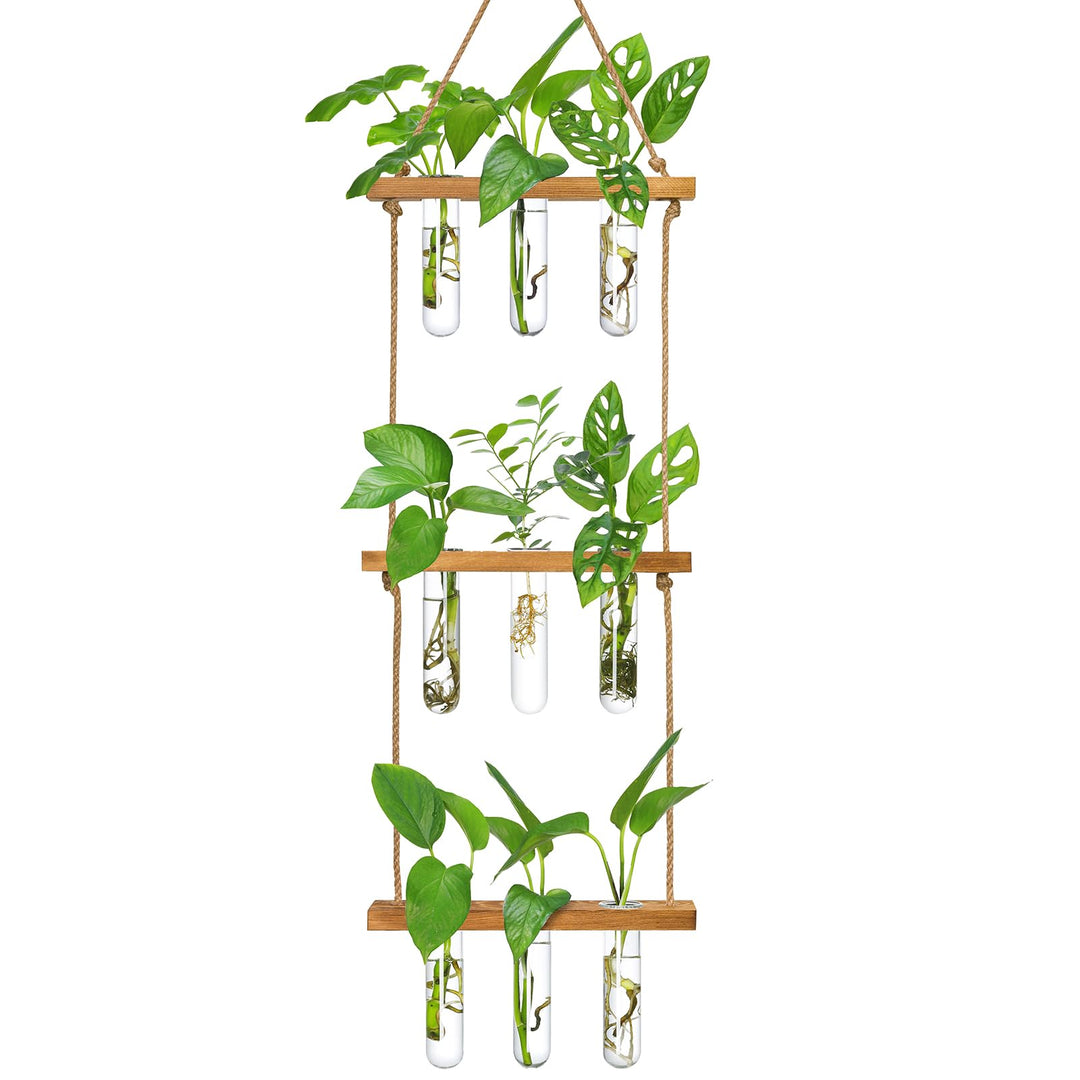 XXXFLOWER Reagenzgläser für Blumen,Kleine Vasen Set mit Ständer für Pflanzen,3X3 Propagation Station