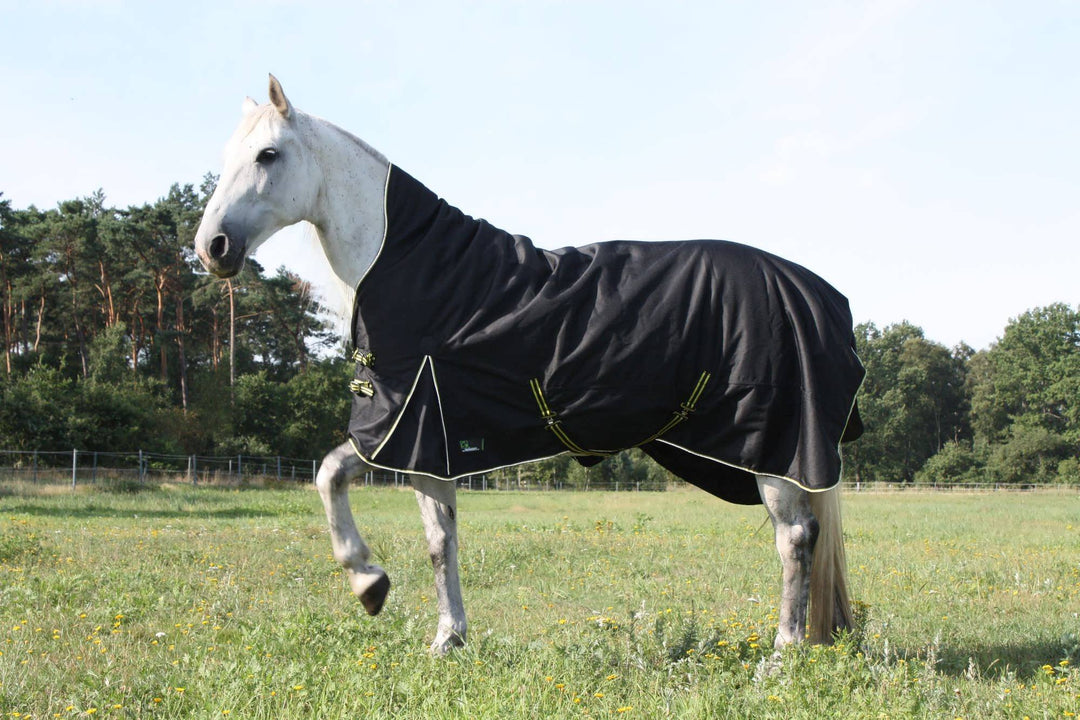 time4horses High Neck Thermodecke Pferdedecke Winterdecke Outdoordecke 100gr. 1200Denir 155 cm, 155