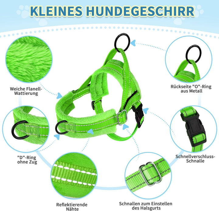 Hundegeschirr mit Leine für mittelgrosse Kleine Hunde, Weich gepolsterter No-Pull Brustgeschirr mit