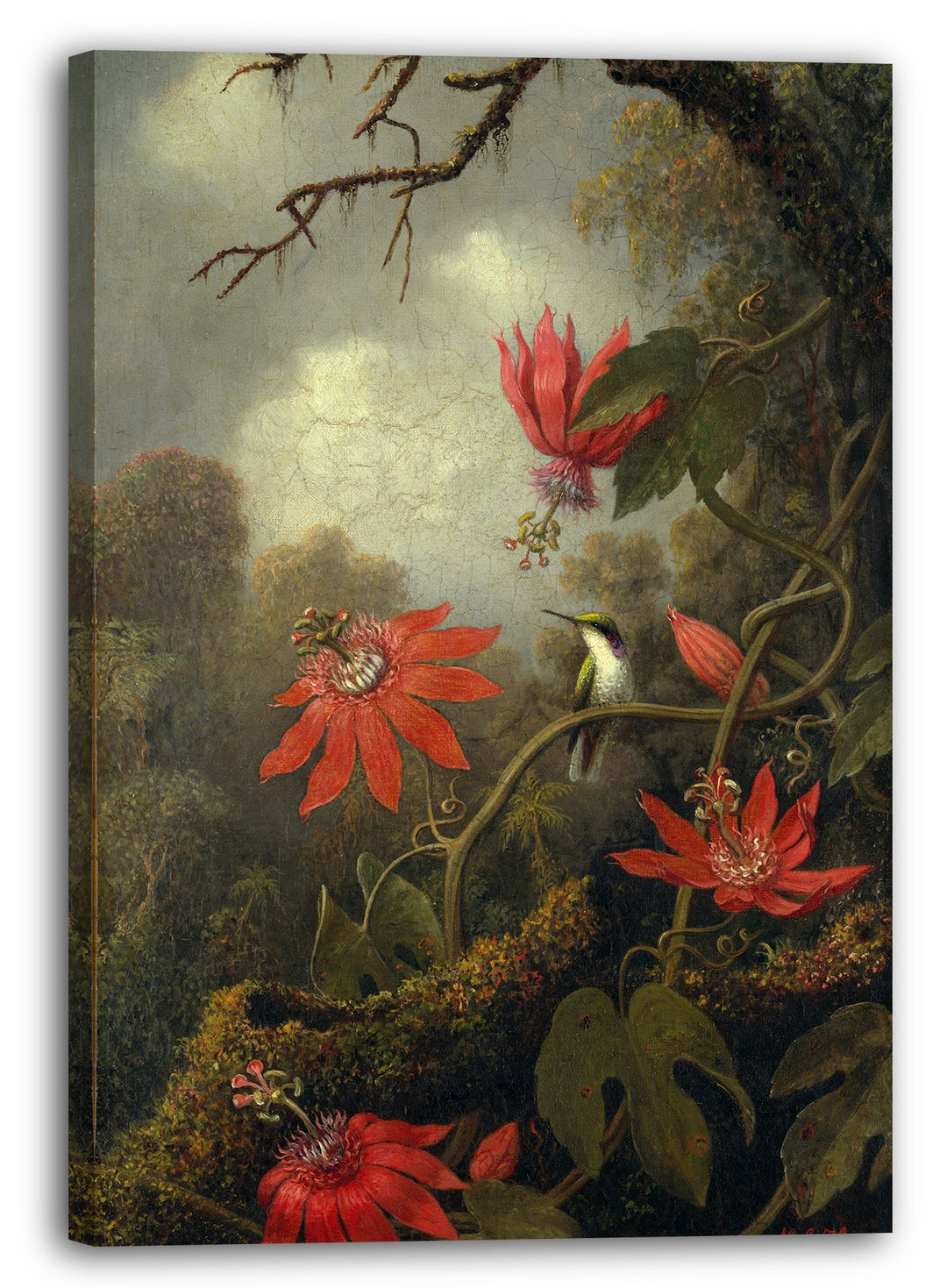 Printed Paintings Leinwand (60x80cm): Martin Johnson Heade - Kolibri und Passionsblumen 60x80 cm, 60