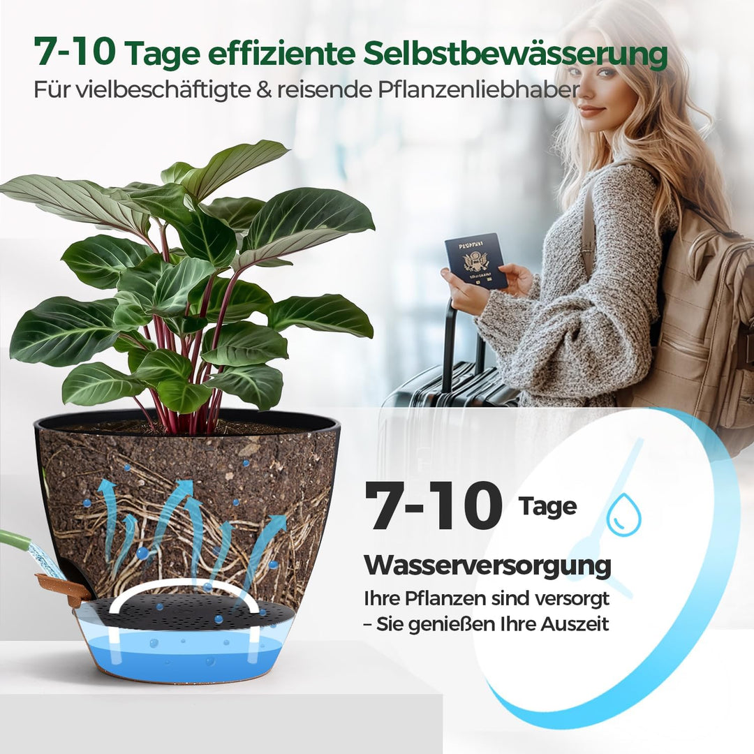 T4U 2er Set Automatische Bewässerung Übertopf 20 cm Durchmesser, Kräutertopf Küche, Kräutertöpfe – g