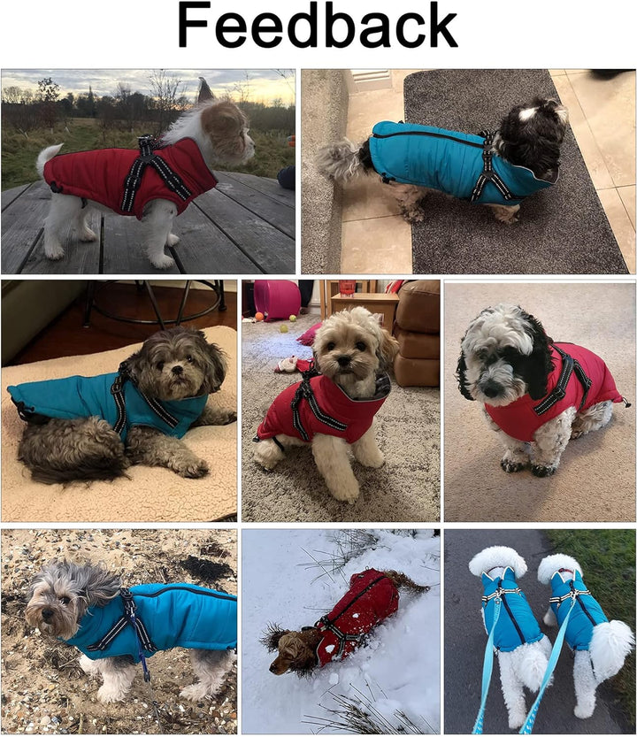 Pethiy -Super Warm Hunde wintermäntel mit Geschirr, Hundejacke mit Innenfleece, Wasserdichte Kleine