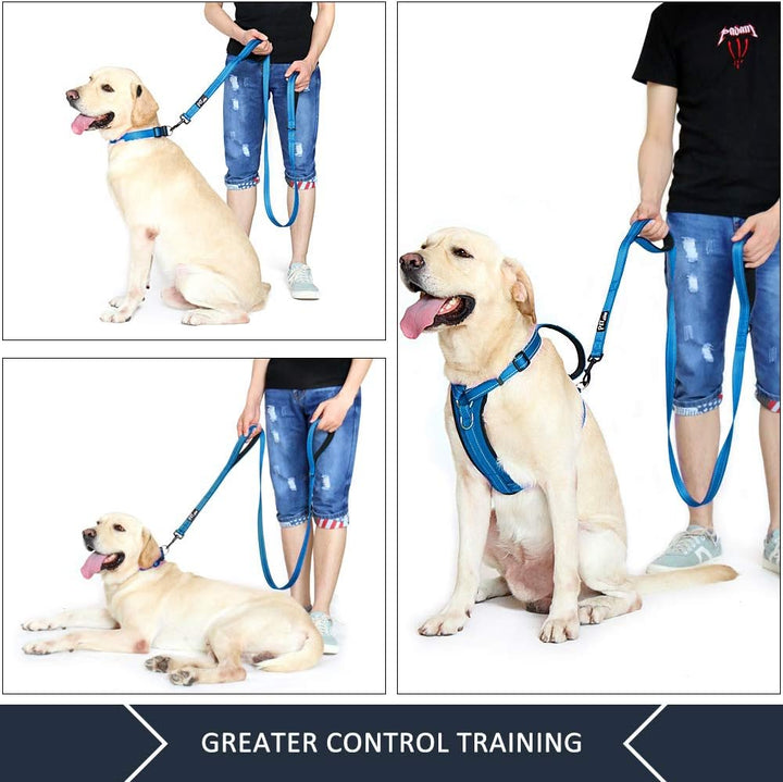 Plutus Pet Hundeleine mit doppeltem Griff, 1,5 m lang, für mittelgrosse und grosse Hunde | Reflektie