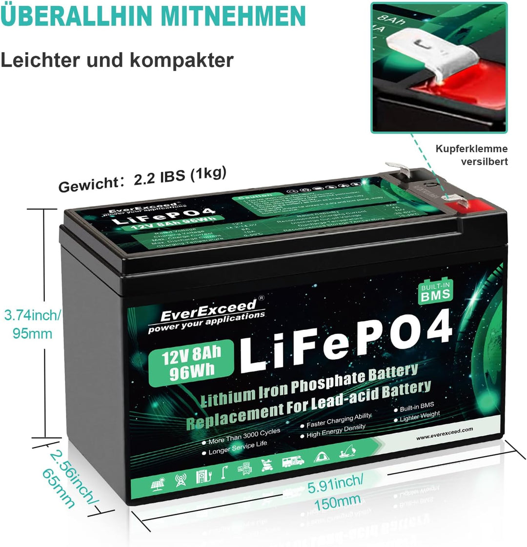 12V 8Ah Wiederaufladbare Lithium Batterie, 12v Batterie mit integriertem BMS, 3000+ Tiefe Zyklen Bat