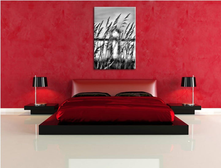 Pixxprint Sonne zwischen Gräsern / 100x70cm Leinwandbild bespannt auf Holzrahmen/Wandbild Kunstdruck