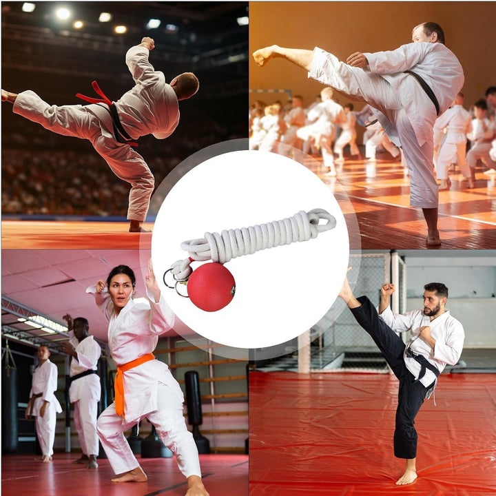 Seil-Dart-Trainer, Gummi-gewichteter Ballseil, weiches Kampfsport-Trainingsgerät, benutzerfreundlich