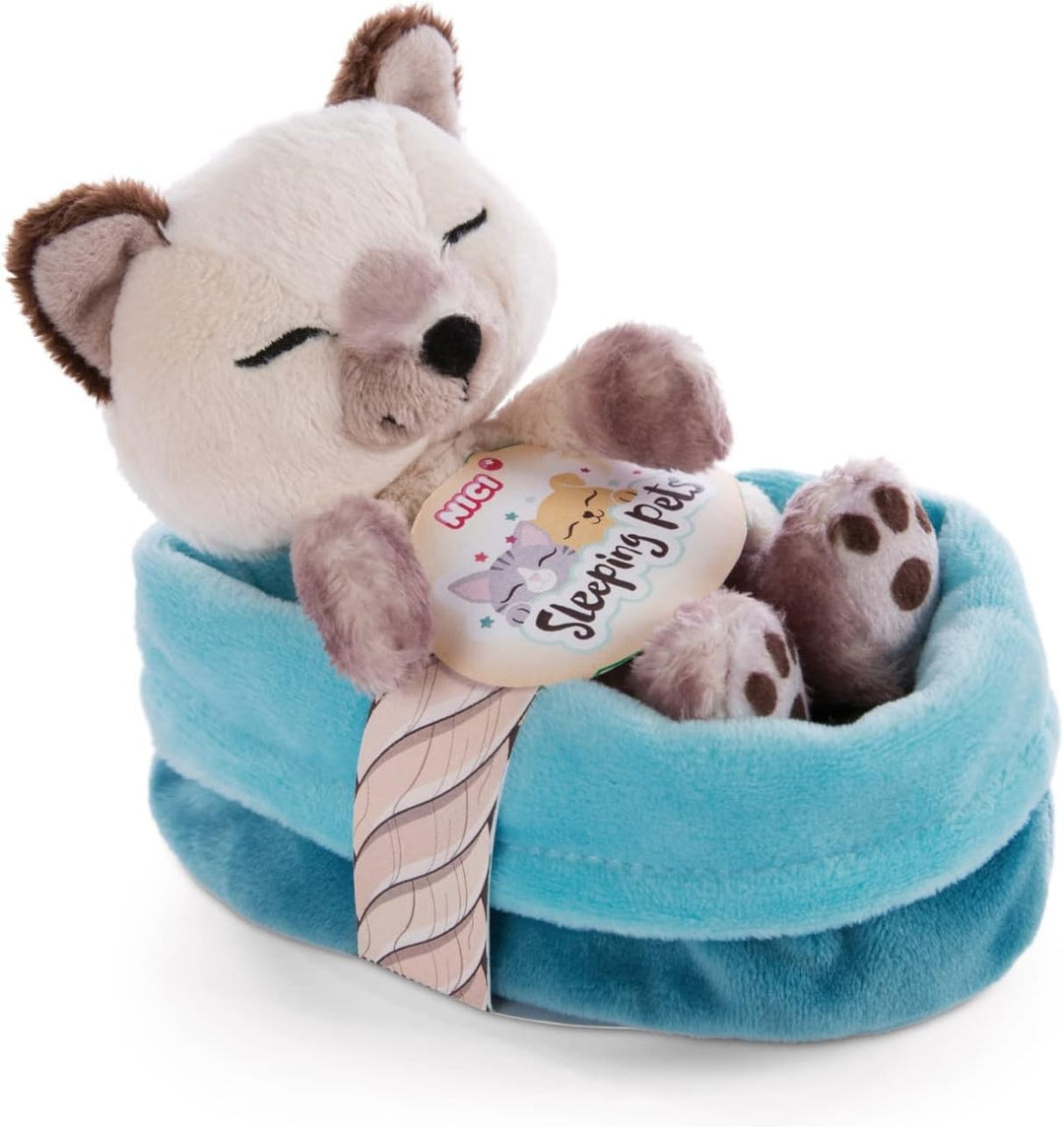NICI 47893 Kuscheltier Körbchen 12 cm – Sleeping Pets Plüschtier Siam Mädchen, Jungen & Babys – Stof