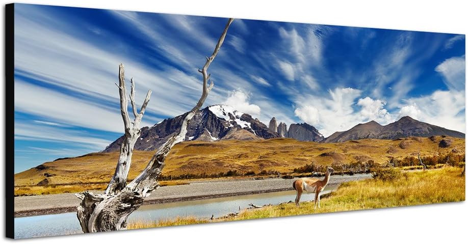 Paul Sinus Art Panoramabild auf Leinwand und Keilrahmen 120x40cm Chile Patagonien Nationalpark Lands