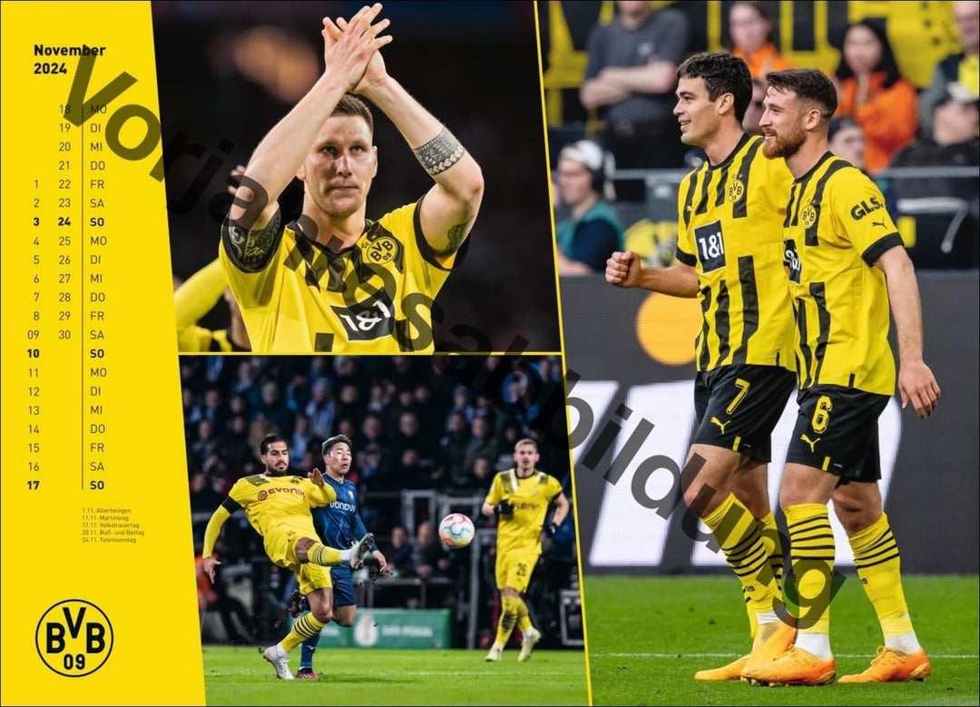 BVB Edition Kalender 2025: Grosser Wandkalender. Einzigartiger Fotokalender mit allen Stars von Boru