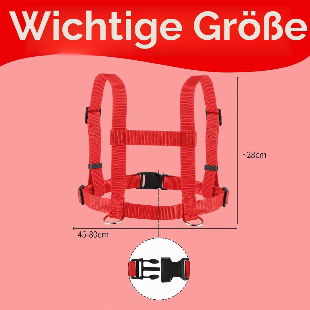 2 Stück Pferdeleine zum Spielen für Kinder Rot Pferdeleine Kinder Pferdeleine Spielzeug Pferde Longi