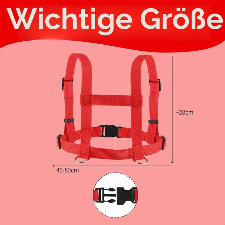 2 Stück Pferdeleine zum Spielen für Kinder Rot Pferdeleine Kinder Pferdeleine Spielzeug Pferde Longi