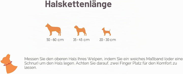 amber-us Bernsteinkette für Hunde aus Roh Baltischer Bernstein mit Rote Koralle verziert | Zeckenhal