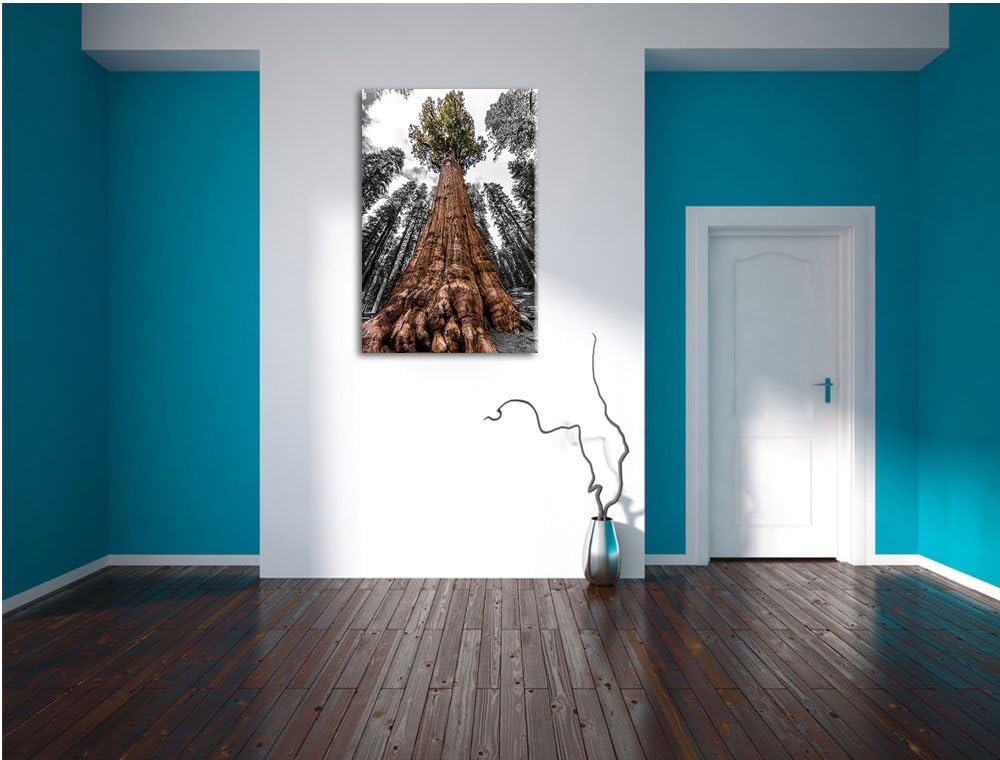 Wald Riesenbaum Regenwald Nebel schwarz/weiss Format: 100x70 auf Leinwand, XXL riesige Bilder fertig