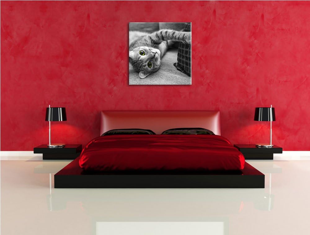 Pixxprint niedliche Katze spielt mit Kissen schwarz/weiss, Format: 70x70 auf Leinwand, 70x70