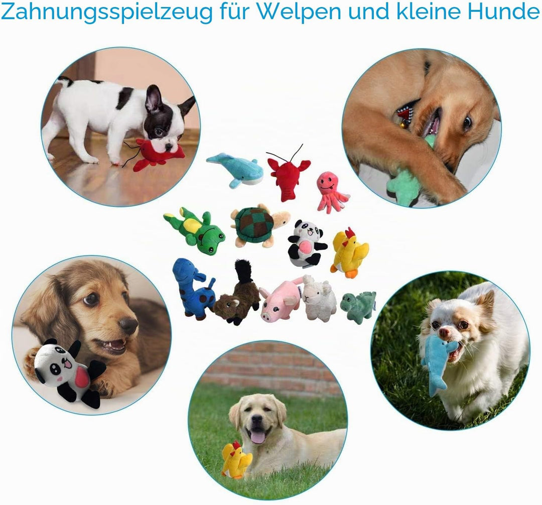 LEGEND SANDY Quietschendes Plüsch-Hundespielzeug-Set für Welpen, kleine gefüllte Welpen, Kauspielzeu