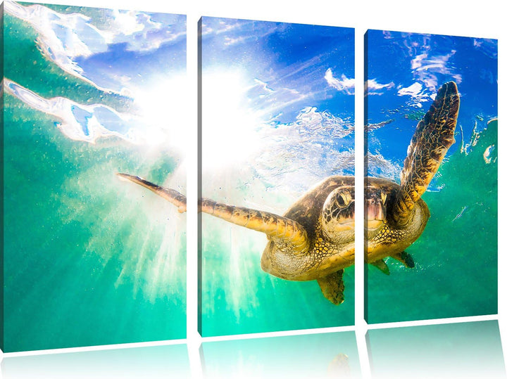 Pixxprint Grüne Meeresschildkröte als Leinwandbild | Grösse: 3 Teilig (120x80) | Wandbild| Kunstdruc