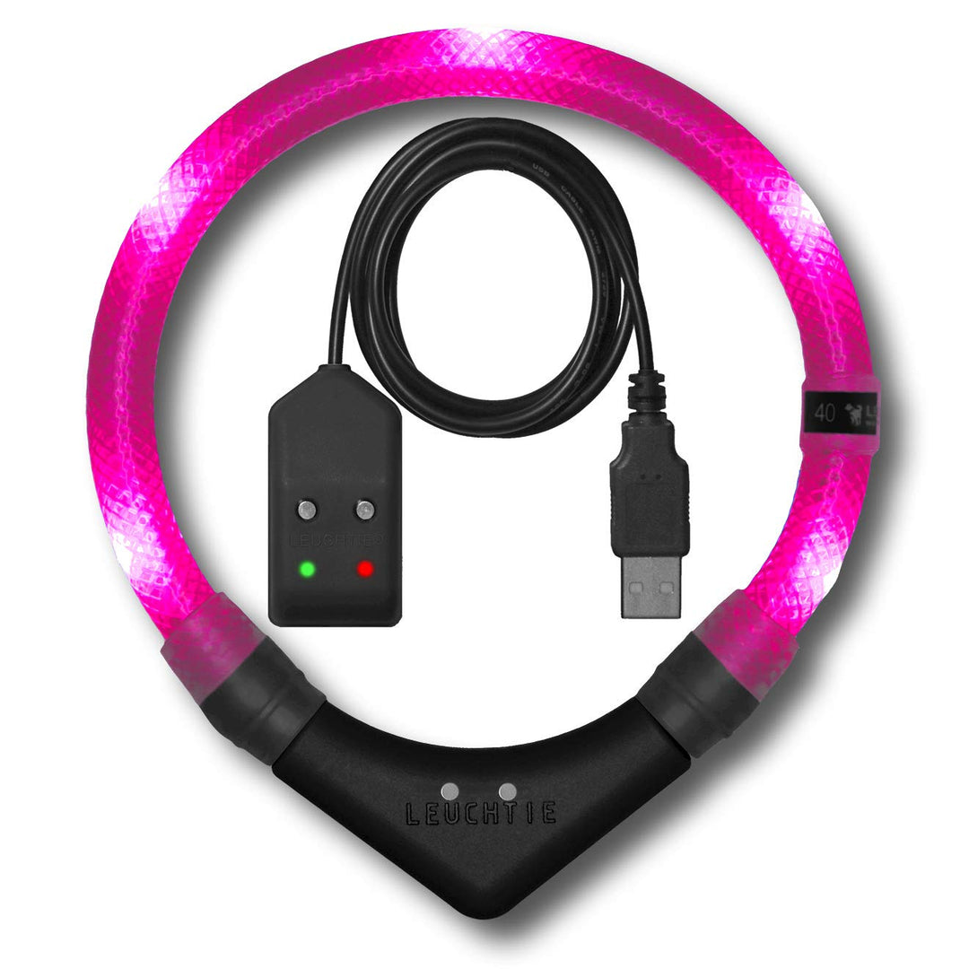 LEUCHTIE® Easy Charge Leuchthalsband Hund aufladbar, wasserdichtes LED Halsband, Leuchtband für Hund