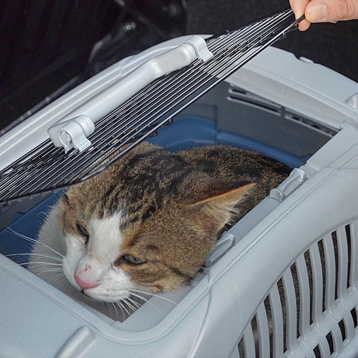 Ferplast Transportbox für Haustiere Hundebox für kleine Hunde und Katzen Atlas deluxe 10 Open, Trans