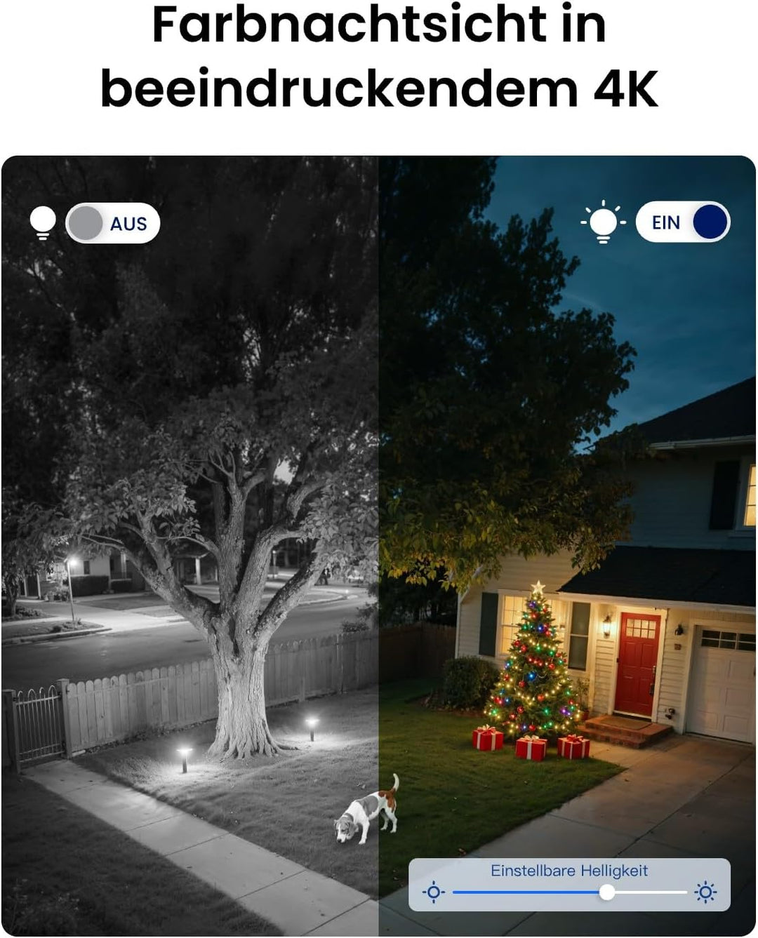 Reolink 4K 8MP Wi-Fi 6 PTZ Überwachungskamera Aussen Set, Auto-Tracking-Zoom, Dual-Objektiv, KI-Erke